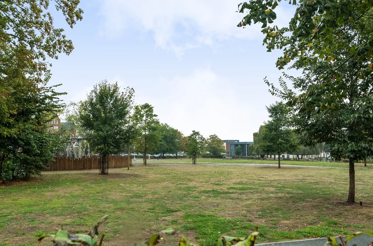 Biscoe Way, Wokingham, RG40, photo 13