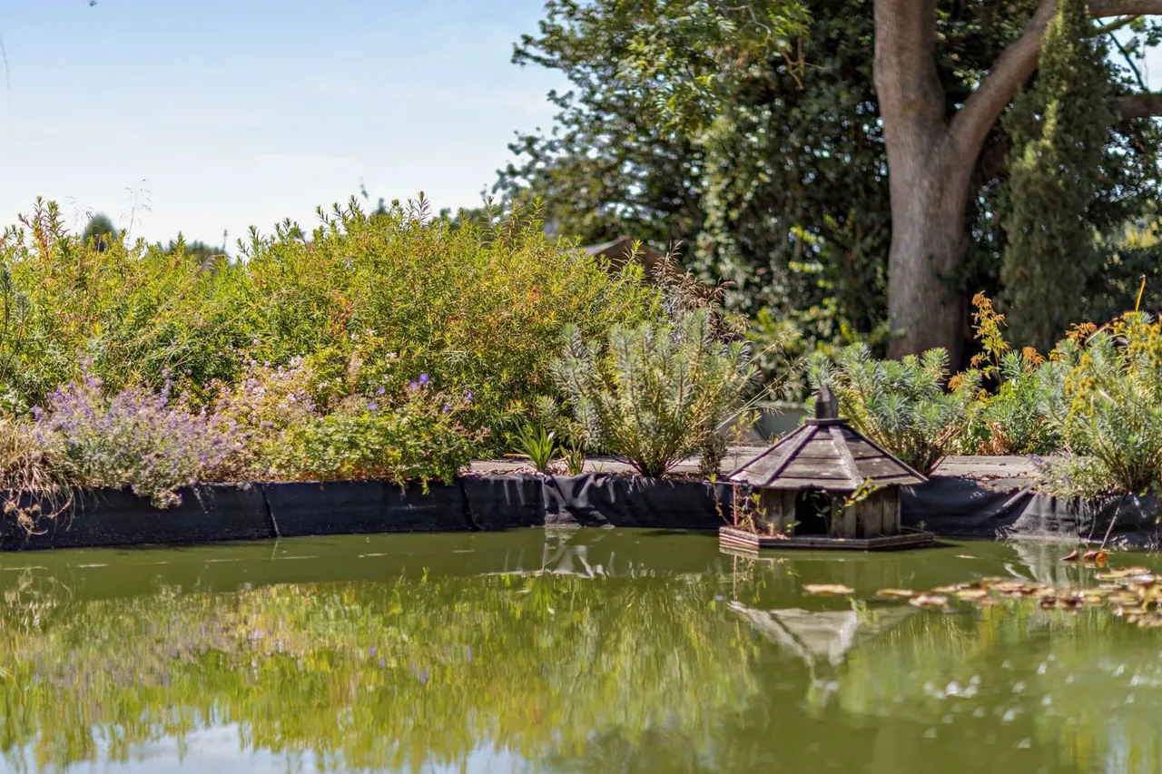 Terrible Down Road, Shortgate, BN8, photo 6