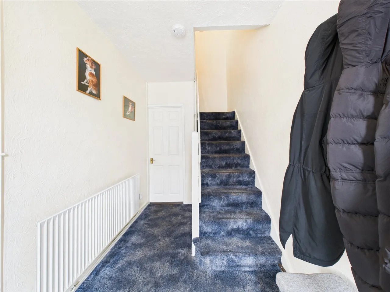 Randolph Avenue, Bristol, BS13, photo 10