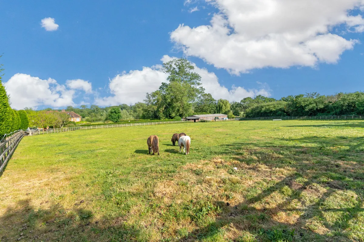 Wildmoor, Sherfield-on-loddon Hook, RG27, photo 37