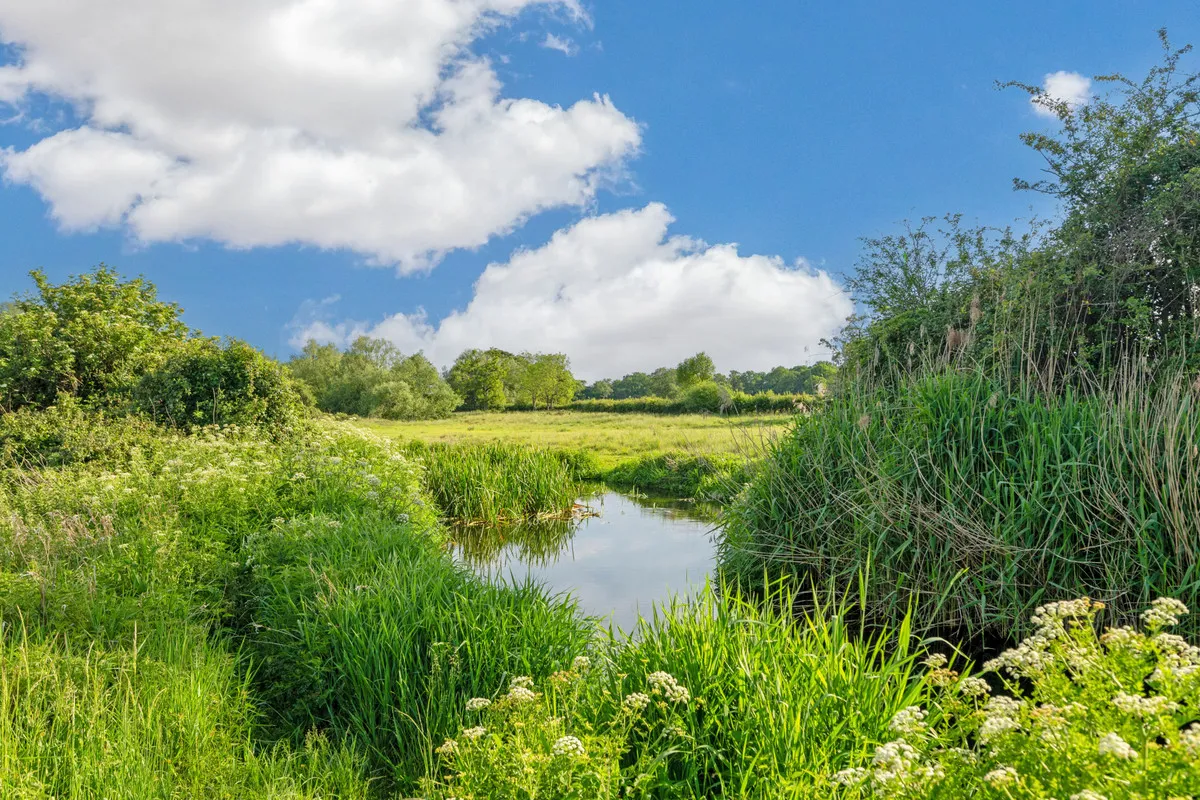 Wildmoor, Sherfield-on-loddon Hook, RG27, photo 39