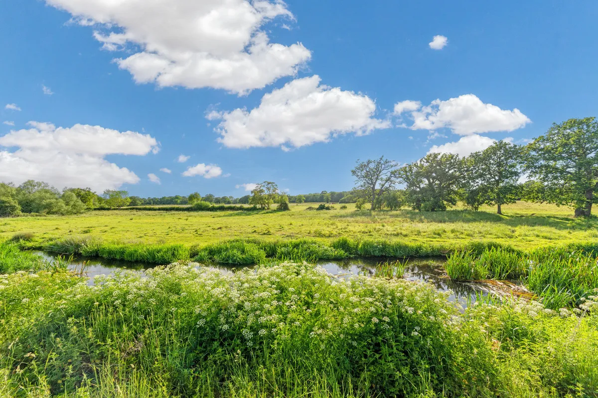 Wildmoor, Sherfield-on-loddon Hook, RG27, photo 38