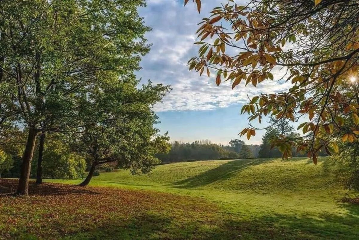 Sunningdale Park, Sunningdale, SL5, photo 17
