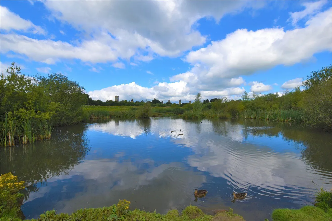 Norwood Drive, Menston, LS29, photo 15