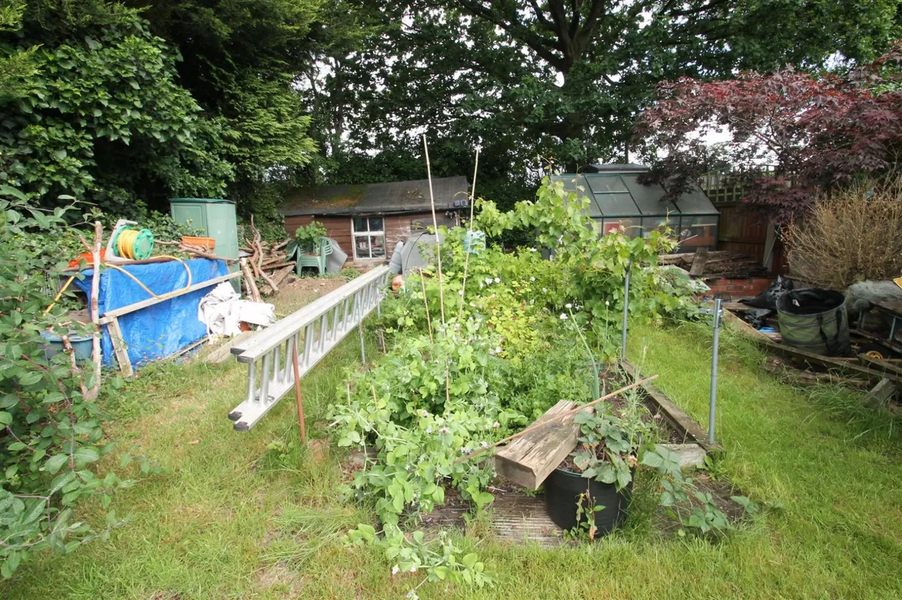 Greenhill Road, Halesowen, photo 23
