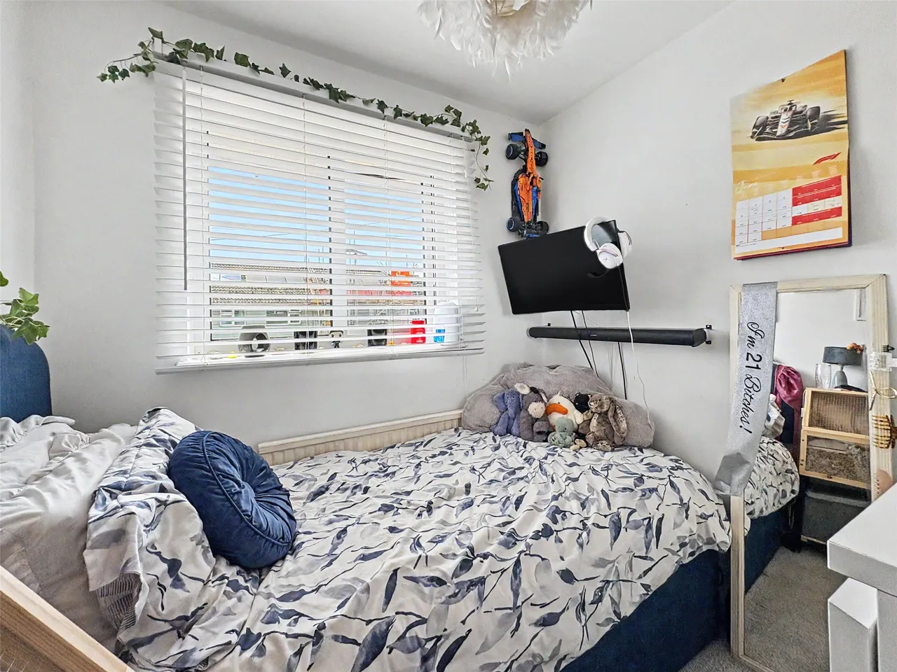 South View Close, Braunton, EX33, photo 9