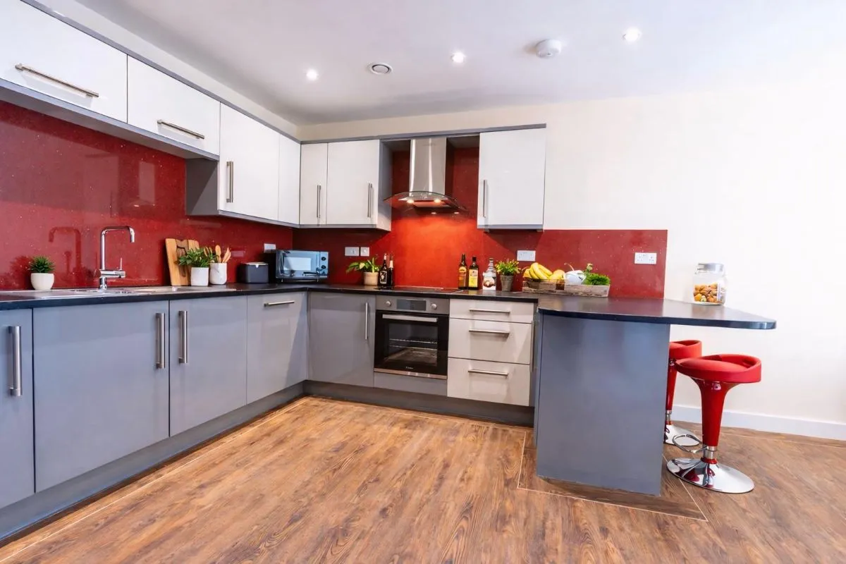 Ecco, photo 3