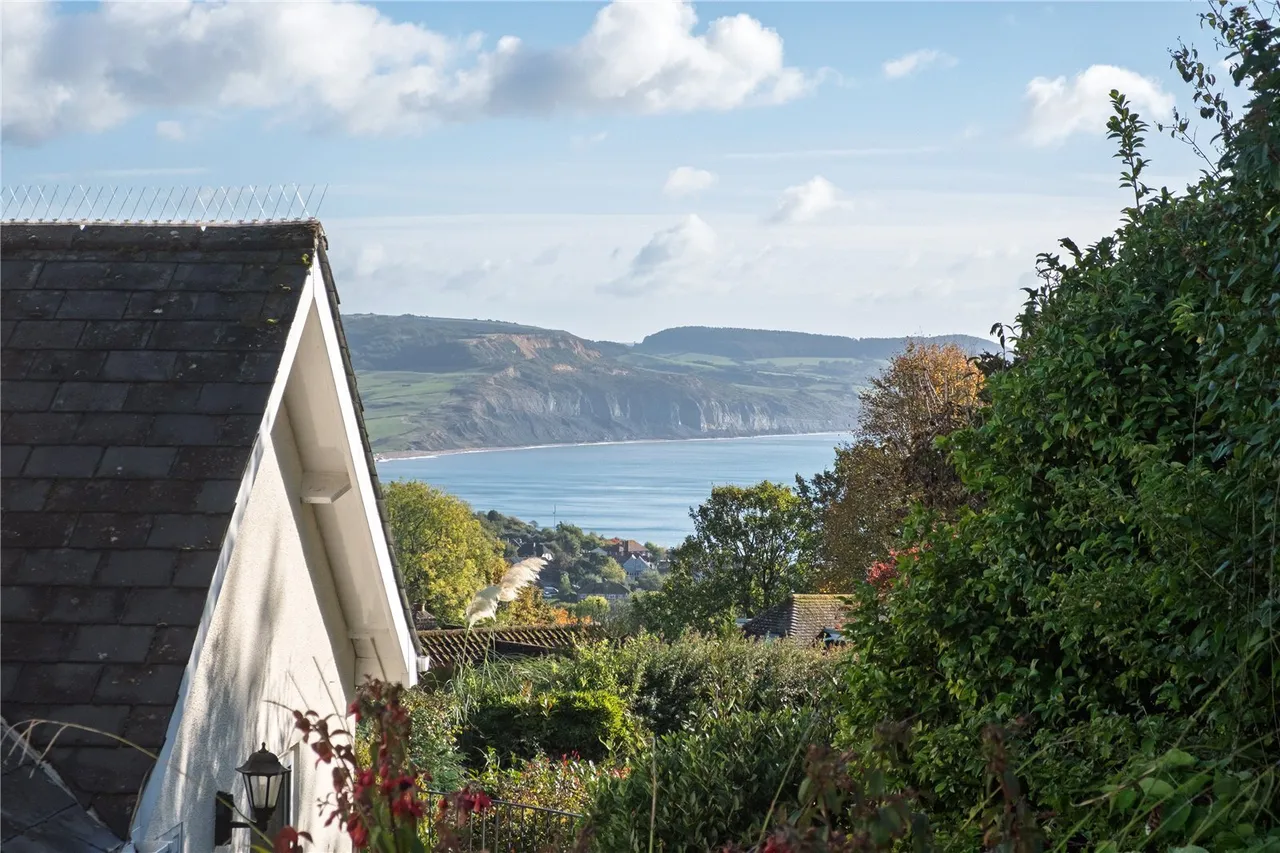 Clappentail Lane, Lyme Regis, DT7, photo 38