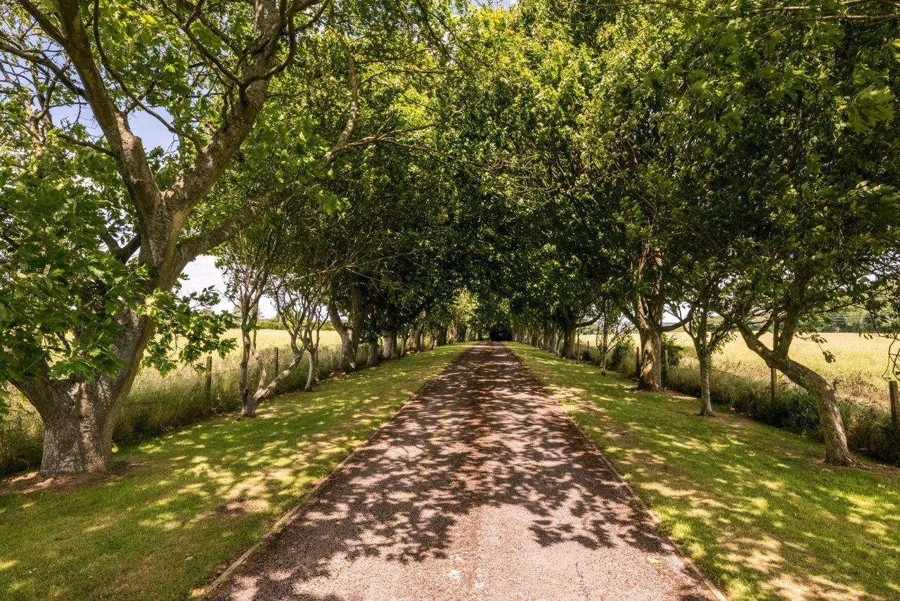 Court-At-Street, Hythe, Kent, CT21 4PE, photo 2
