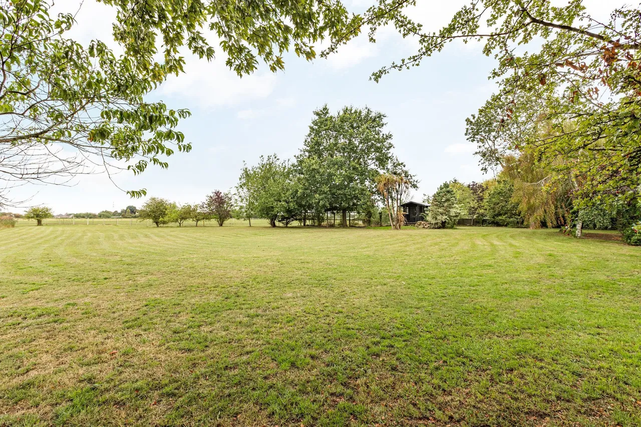 Detached Spacious Home in Walpole St, photo 2