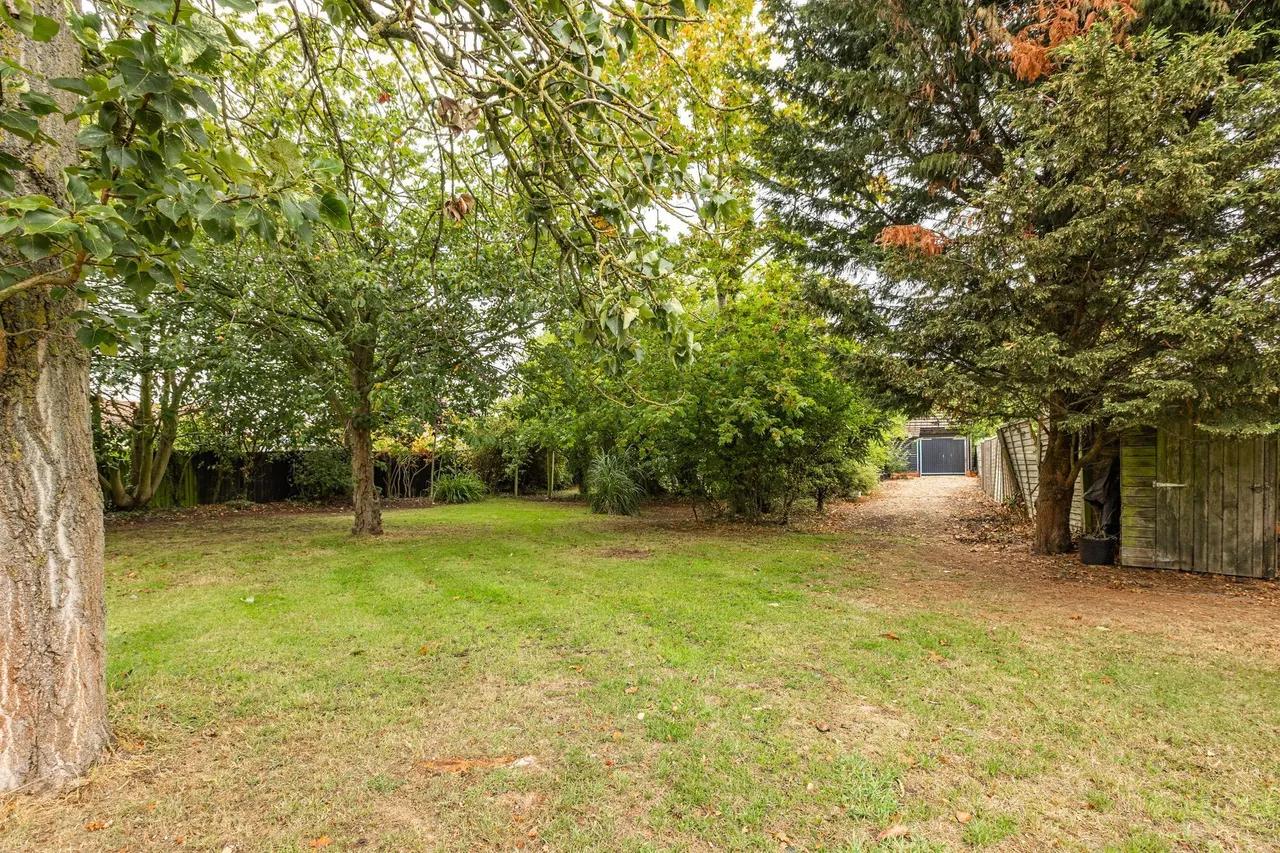 Detached Spacious Home in Walpole St, photo 21