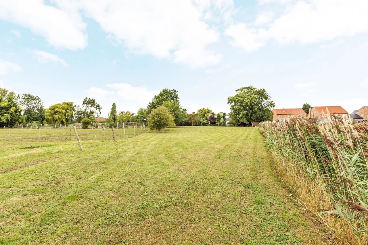 Detached Spacious Home in Walpole St, photo 19