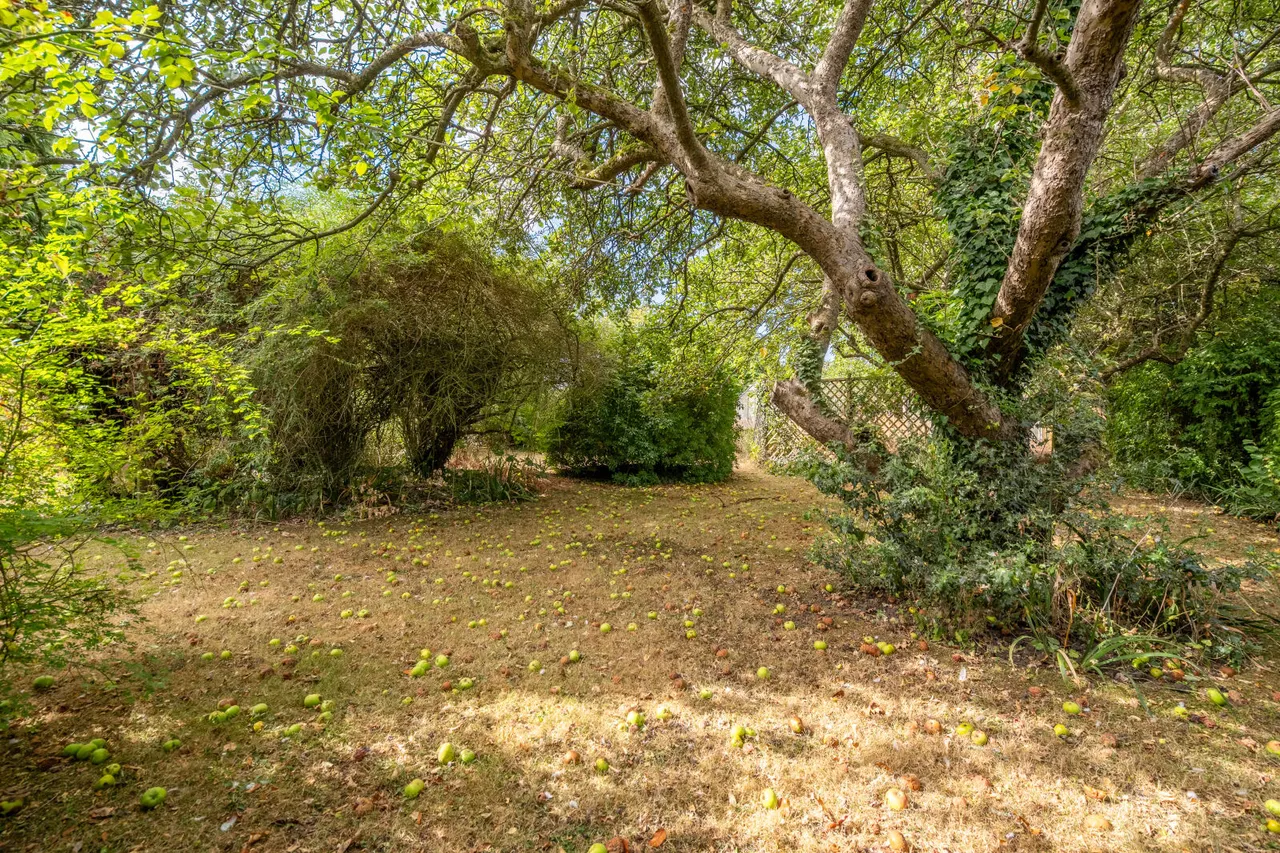 Chalkshire Road, Aylesbury, HP17, photo 4