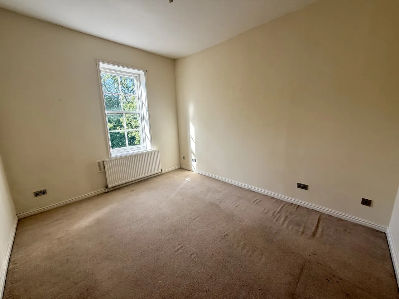 Sailsbury Street, Hull, HU5, photo 4