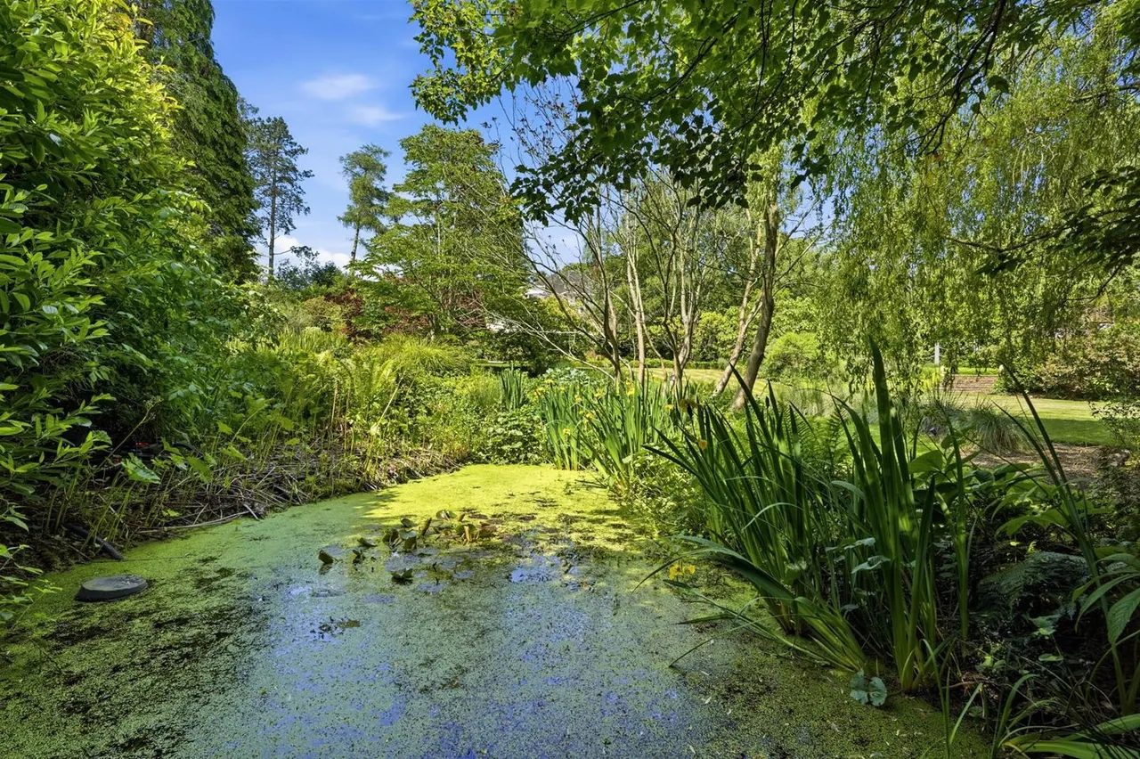 Castle Hill, Prestbury, photo 40