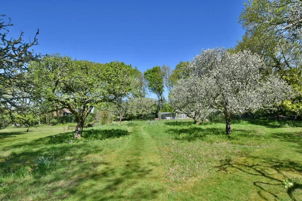 Lower Row, Holt, BH21, photo 33