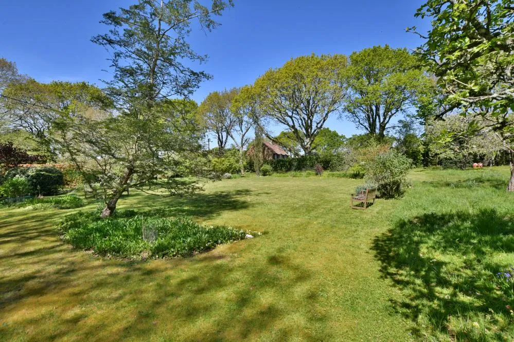 Lower Row, Holt, BH21, photo 34