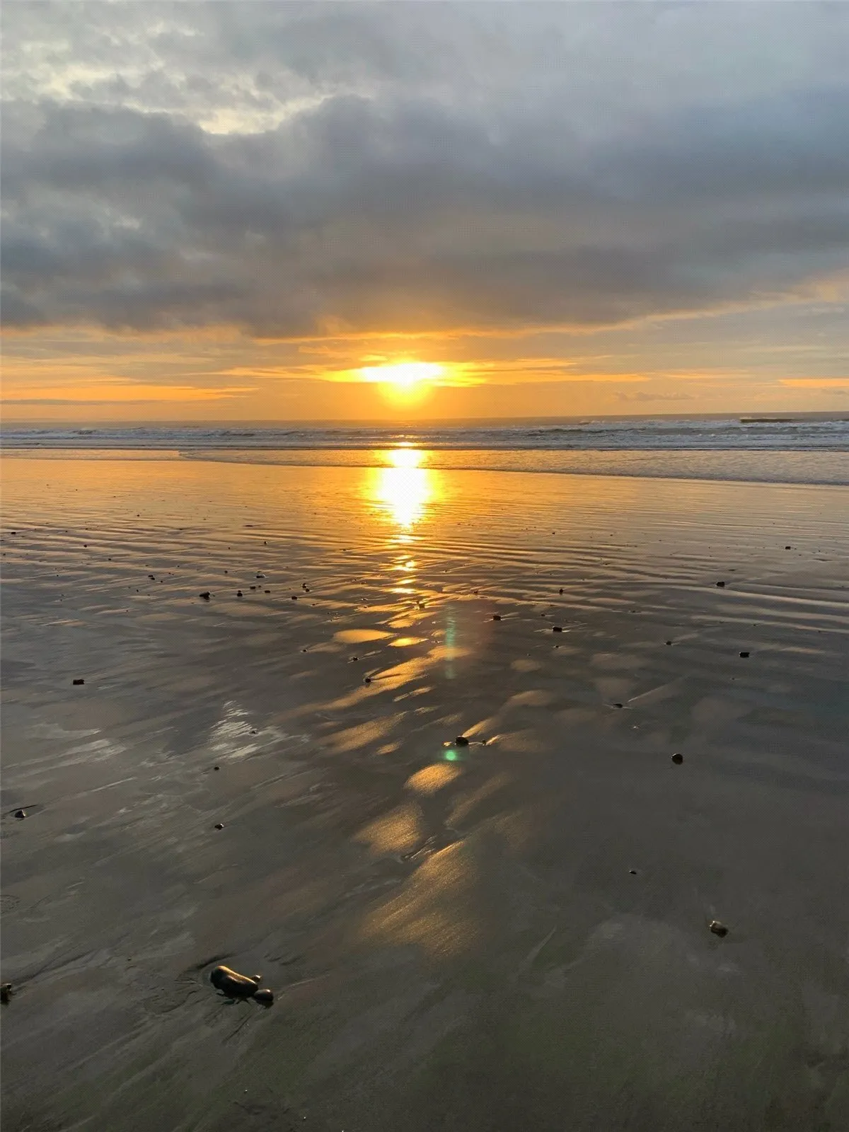 Renfrew Drive, Ynyslas, SY24, photo 25