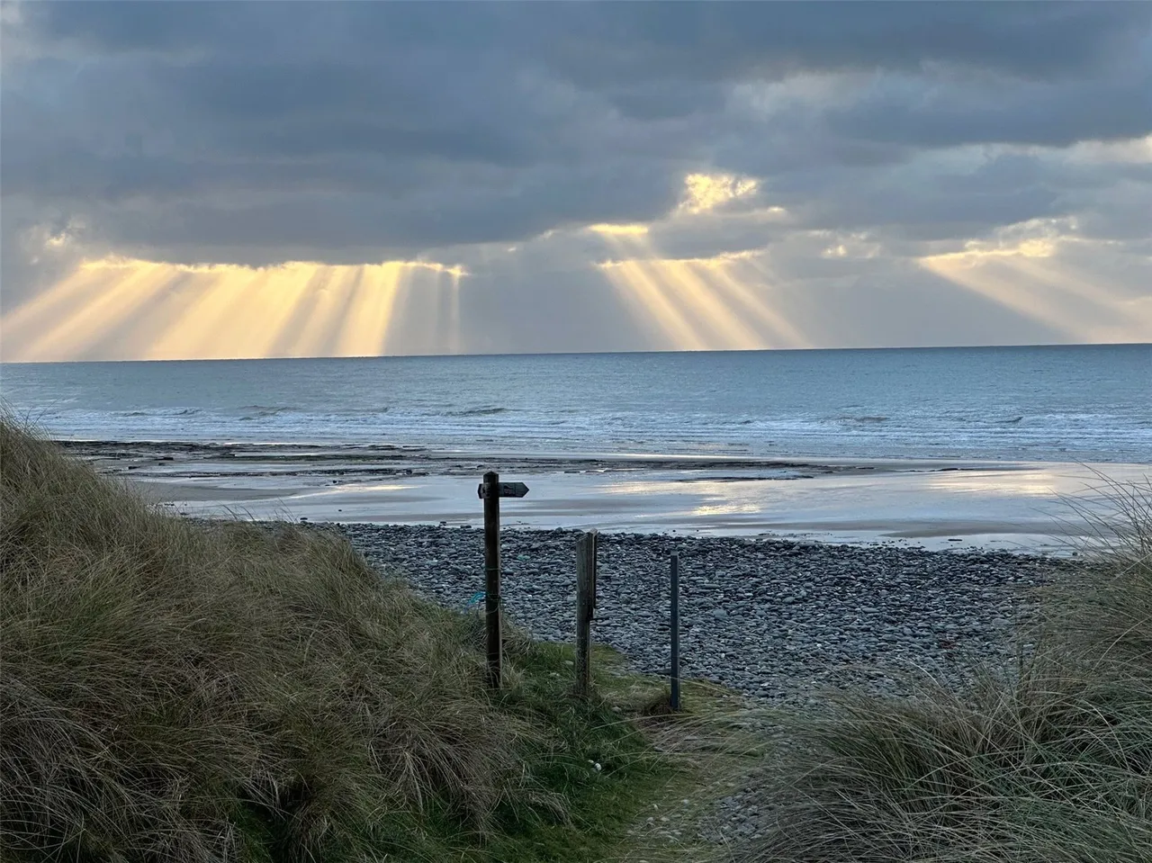 Renfrew Drive, Ynyslas, SY24, photo 3