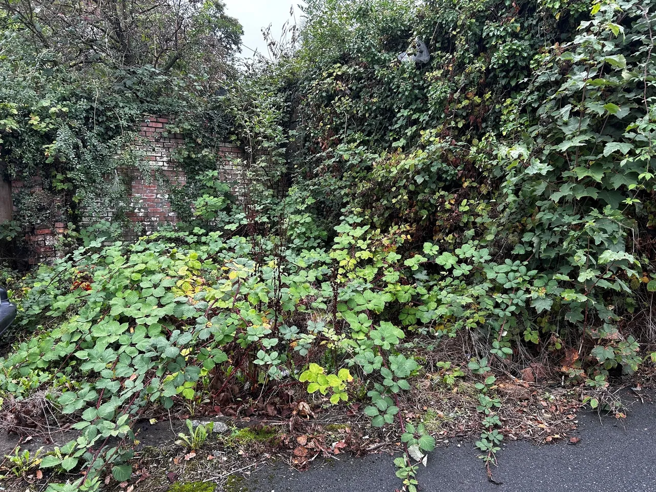 Neath Road, Maesteg, CF34, photo 15