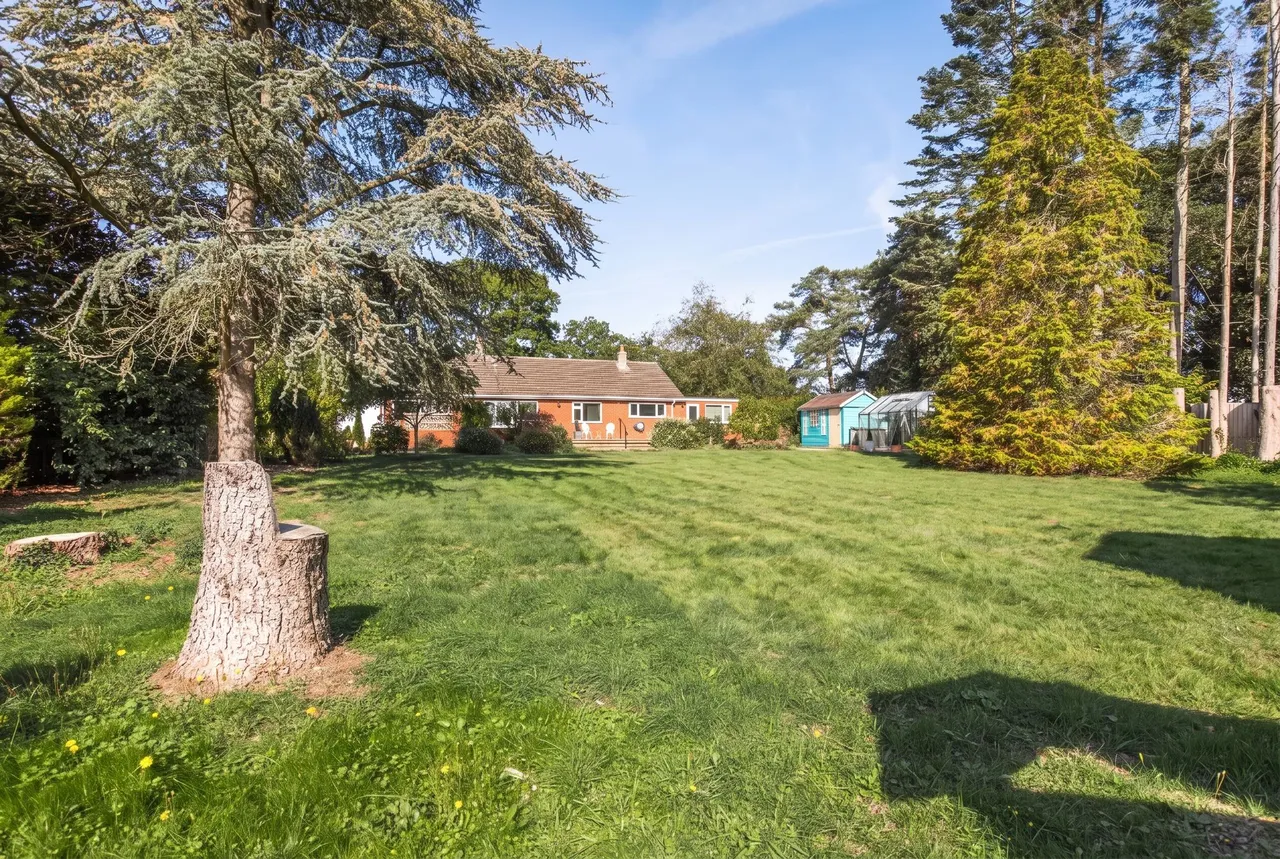 Detached Bungalow in Beetley with, photo 4