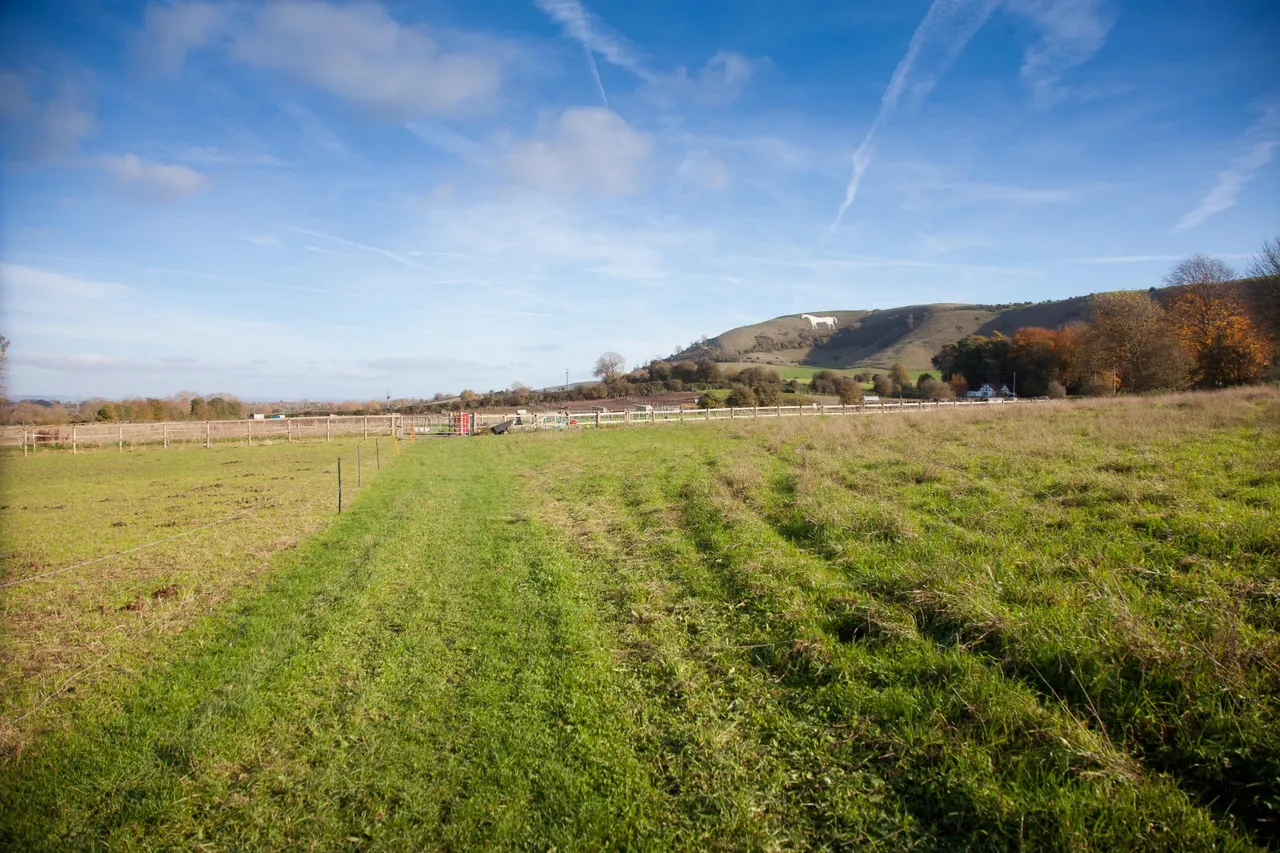 Bratton Road, Westbury, Wiltshire, BA13 4TG, photo 4