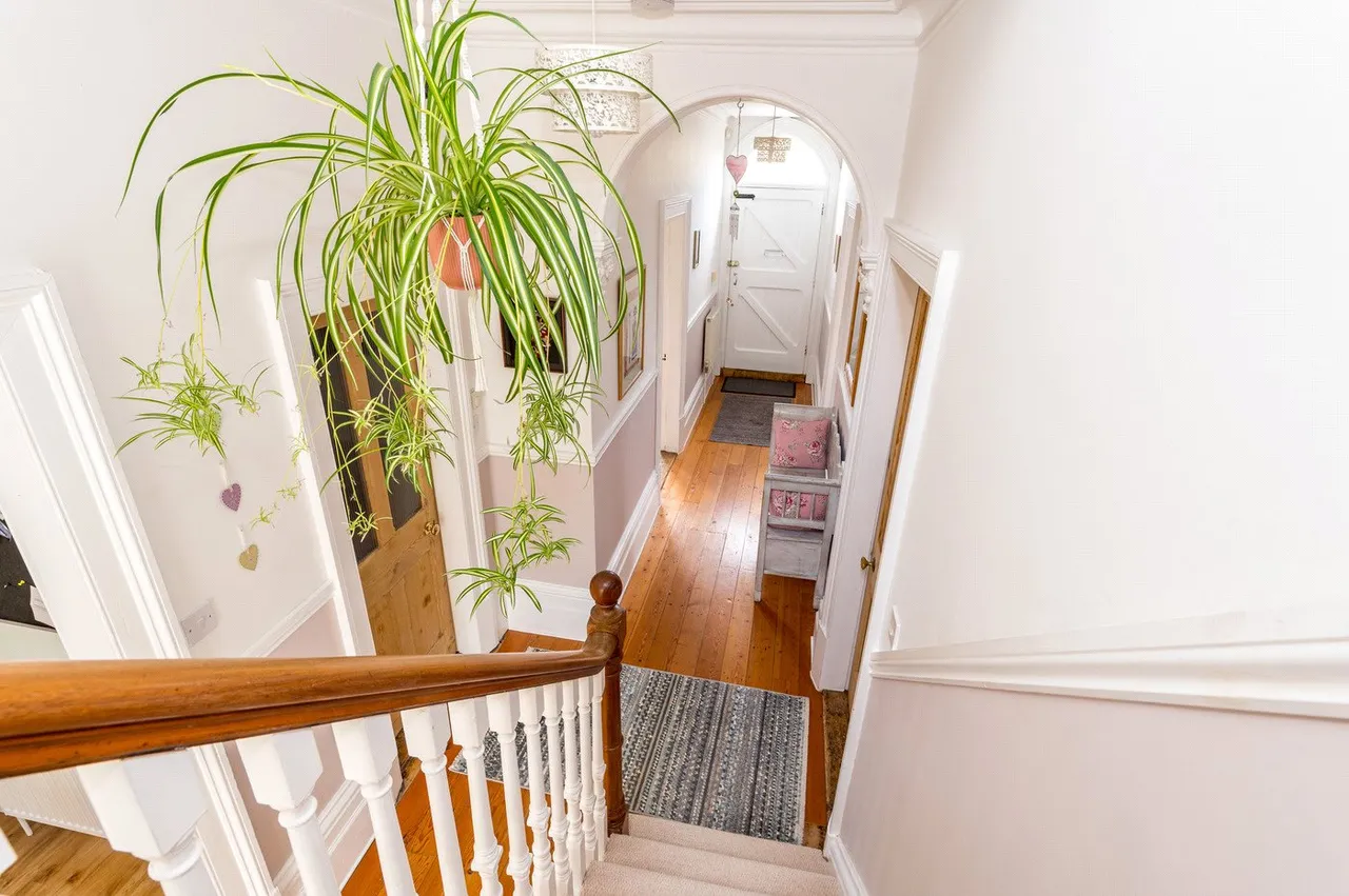 Tuddenham Road, Ipswich, IP4, photo 11
