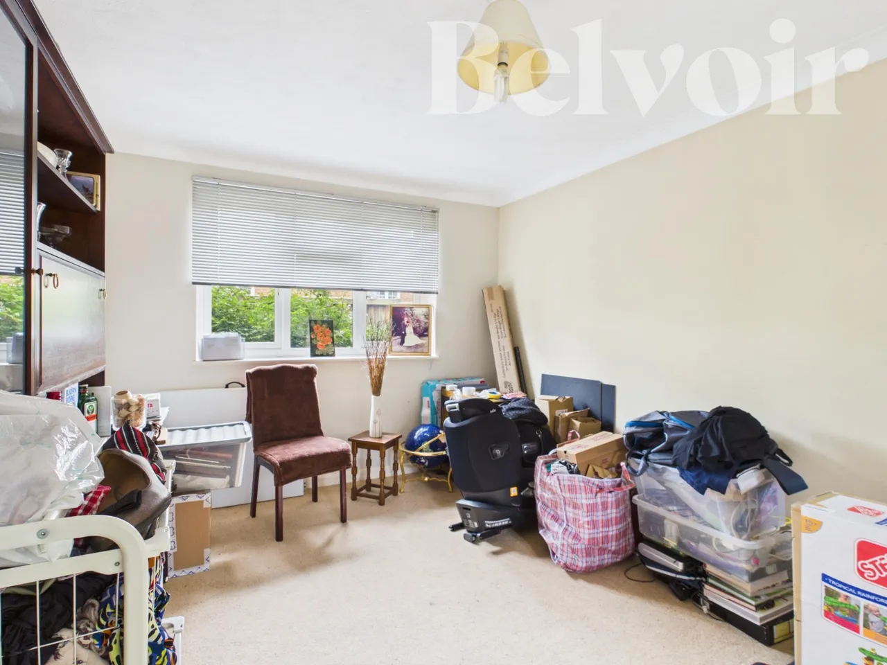 Belvedere Gardens, Chineham, Basingstoke, RG24, photo 11