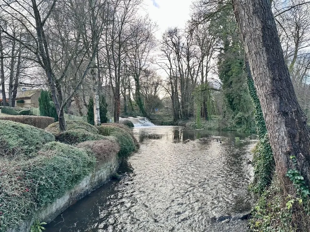 Old Mill Close, Eynsford, DA4, photo 13