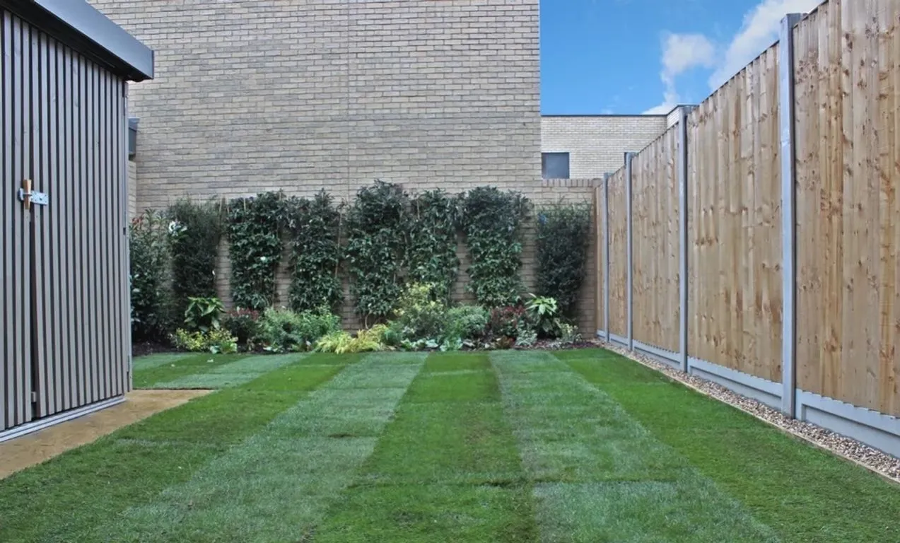 Whitelocks Drive, Trumpington, CB2, photo 8