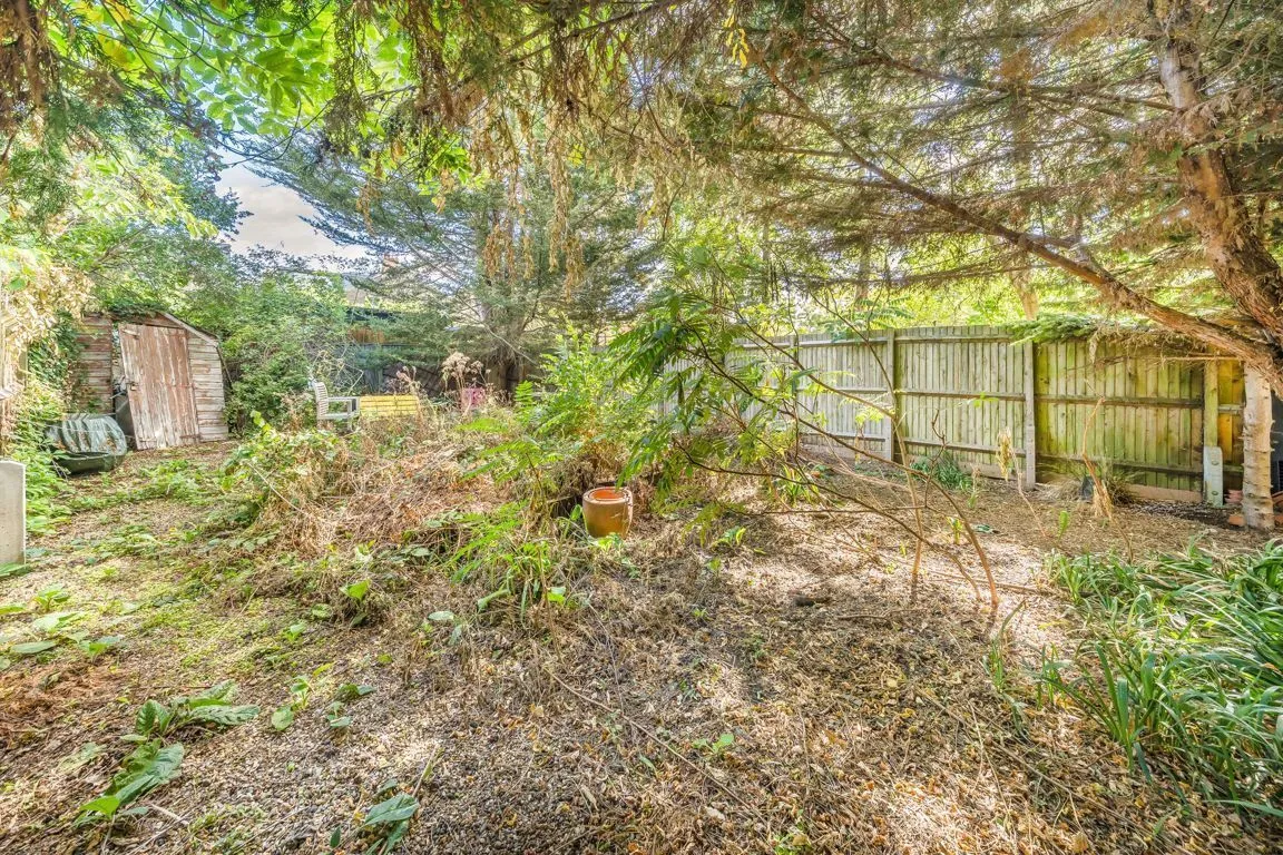 Bedford Hill, SW12, photo 5