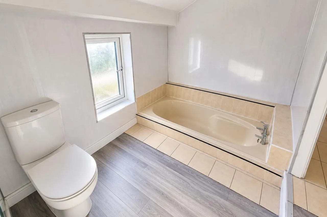 Ninth Avenue, Newcastle Upon Tyne, NE6, photo 14