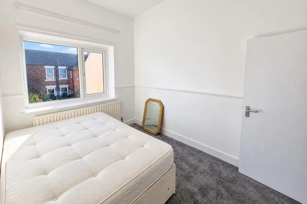 Ninth Avenue, Newcastle Upon Tyne, NE6, photo 11