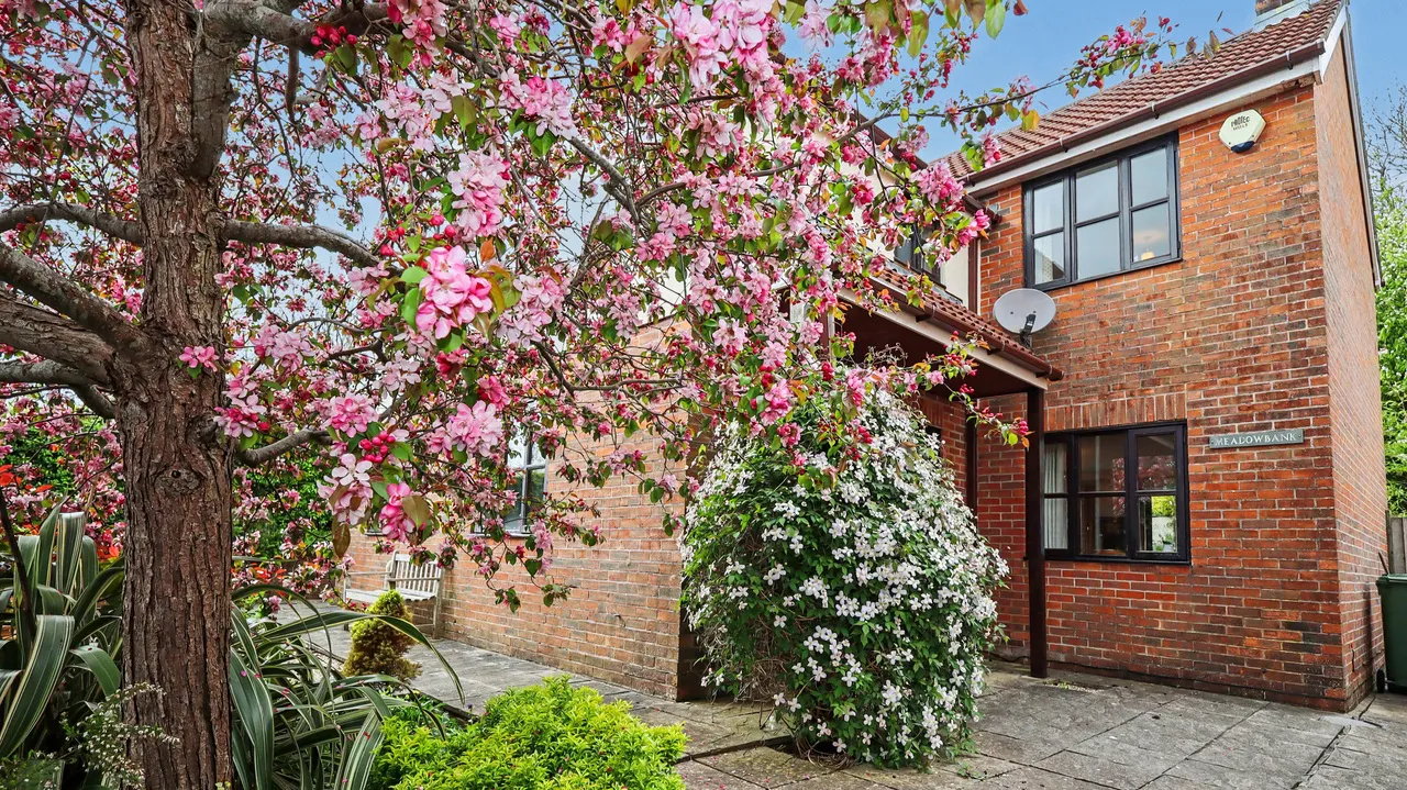 Meadowbank, Glastonbury, photo 20