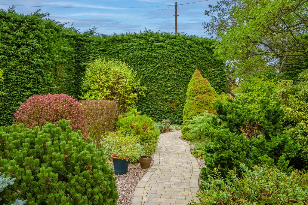 Cheshire Street, Market Drayton, photo 49