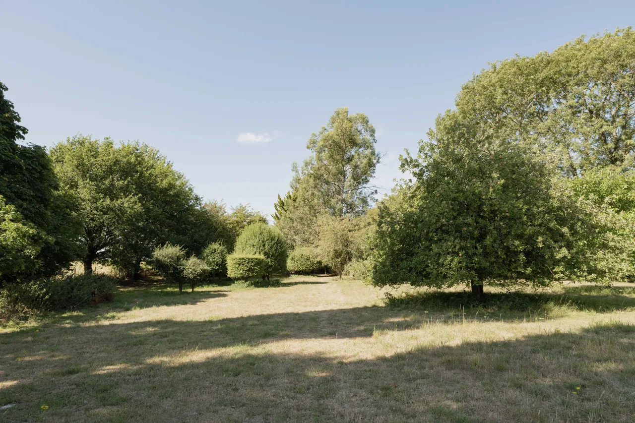 College Road, Thompson, IP24, photo 26