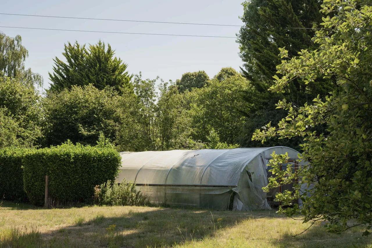 College Road, Thompson, IP24, photo 24