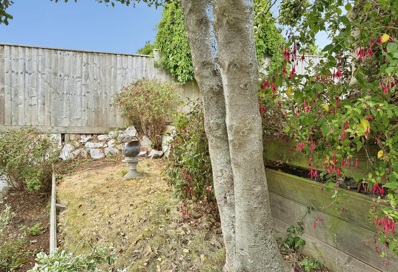North Street, Exmouth, EX8, photo 8