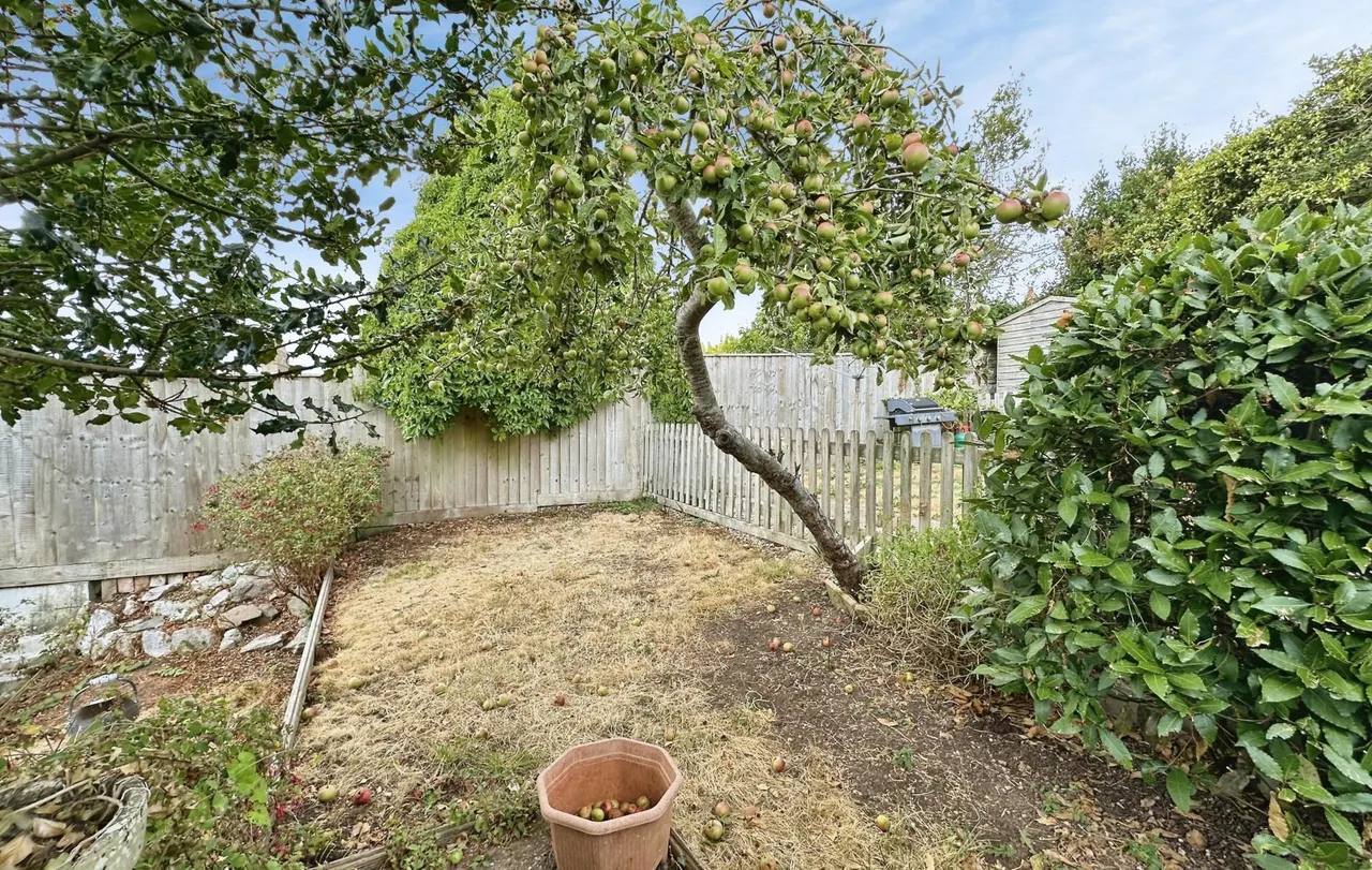 North Street, Exmouth, EX8, photo 10