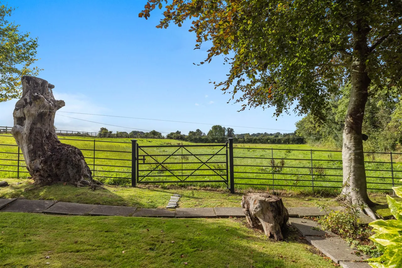 Ballinderry Road, Ballinderry Upper, BT28, photo 41