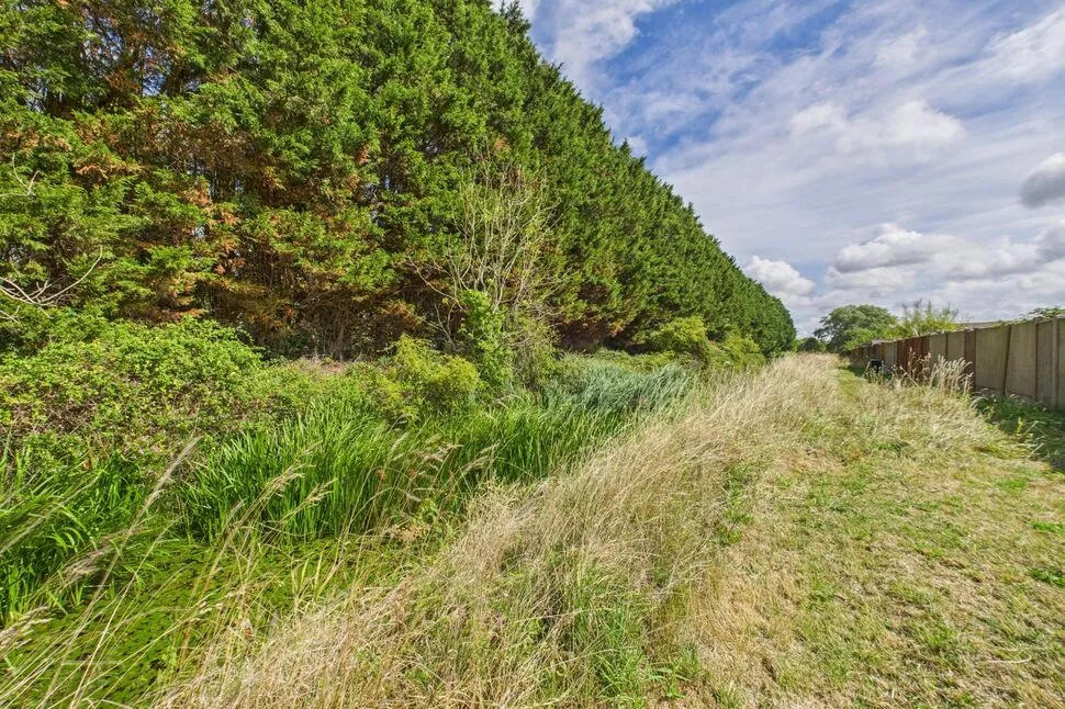 Sumerlin Drive, Clevedon, BS21, photo 11