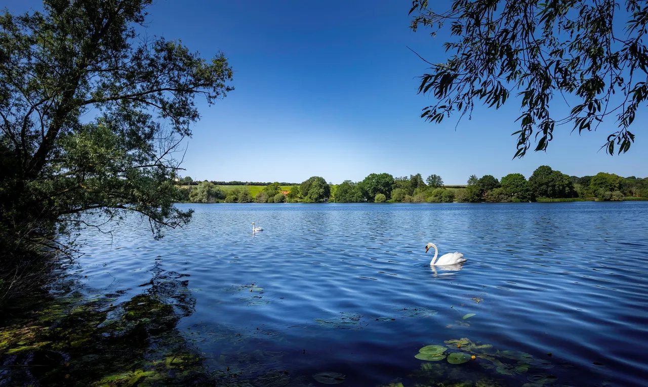 Mendham Lane, Harleston, IP20, photo 10