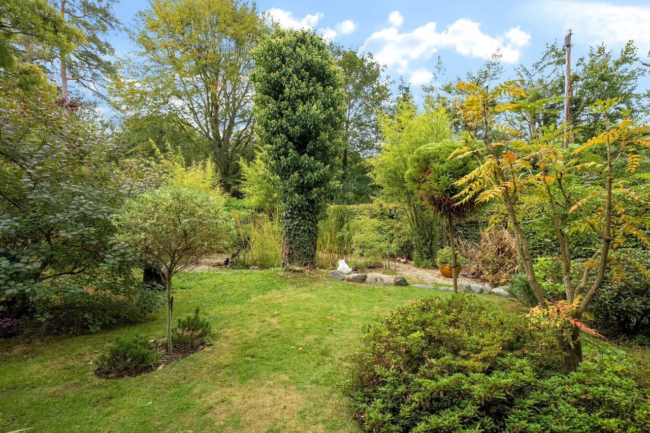 Crosswater Lane, Churt, GU10, photo 20