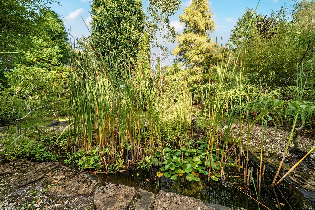 Crosswater Lane, Churt, GU10, photo 26