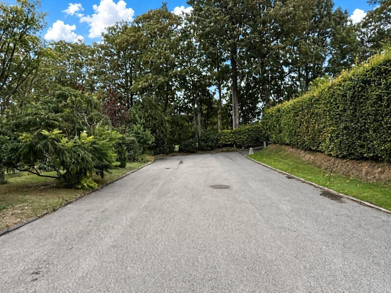 Maudlyn Close, Bramber, BN44, photo 13