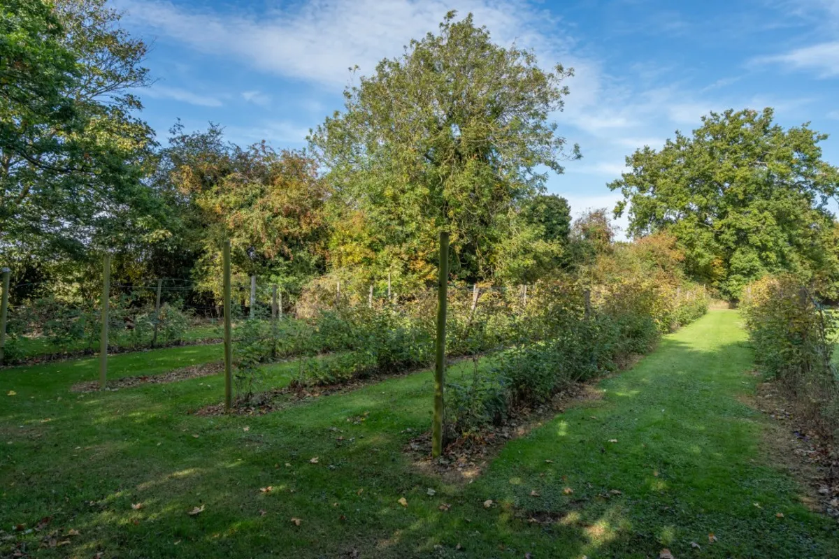 The Street, Erpingham, NR11, photo 38