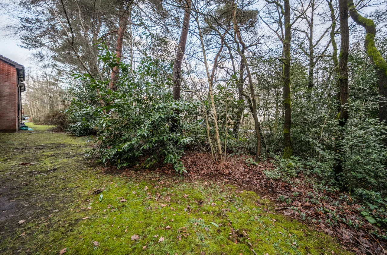 Habershon Drive, Frimley, Camberley, Surrey, GU16 9TW, photo 10