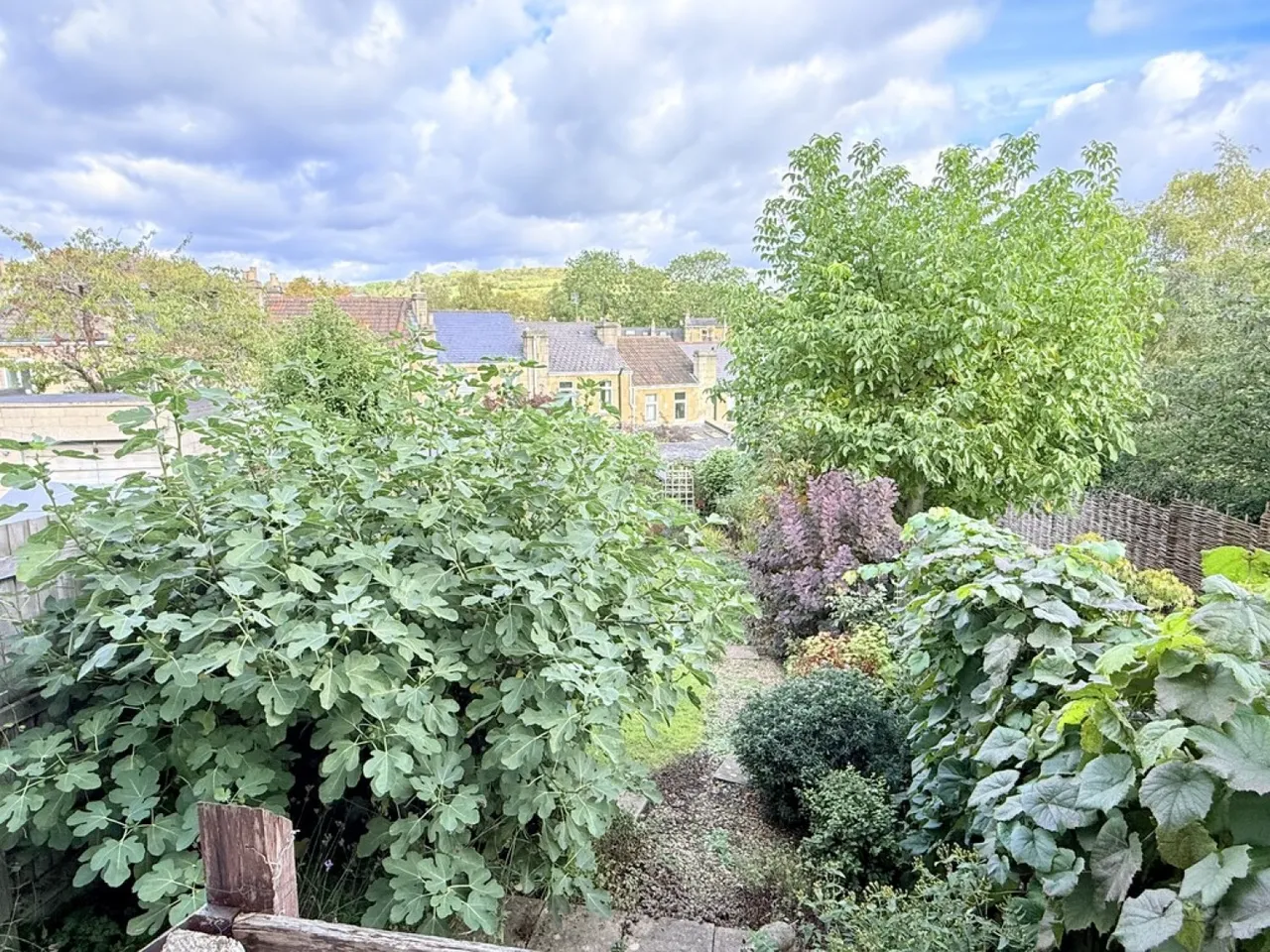 Worcester Park, Bath, BA1, photo 4
