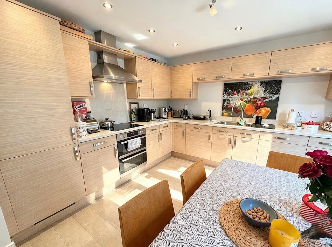 Brakespear Close, Nevilles Cross, DH1, photo 4