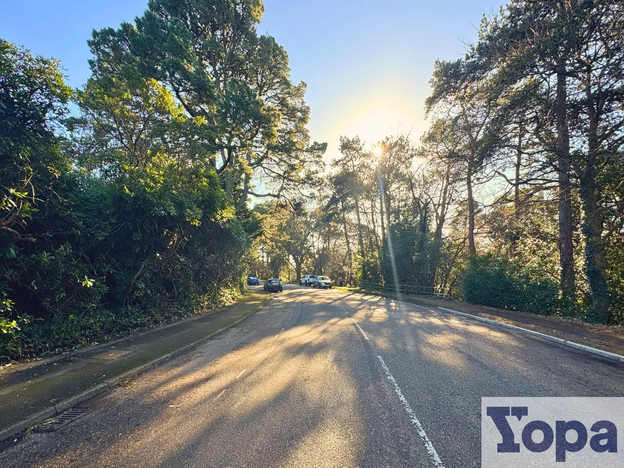 West Overcliff Drive, Bournemouth, BH4, photo 3